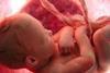 childinwomb
