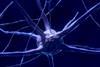 brain-cell-main