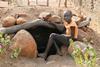 Child at bomb shelter, Nuba Mountains, Sudan., Nuba Mountains, Sudan.