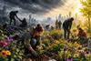 Planting Hope After the Storm