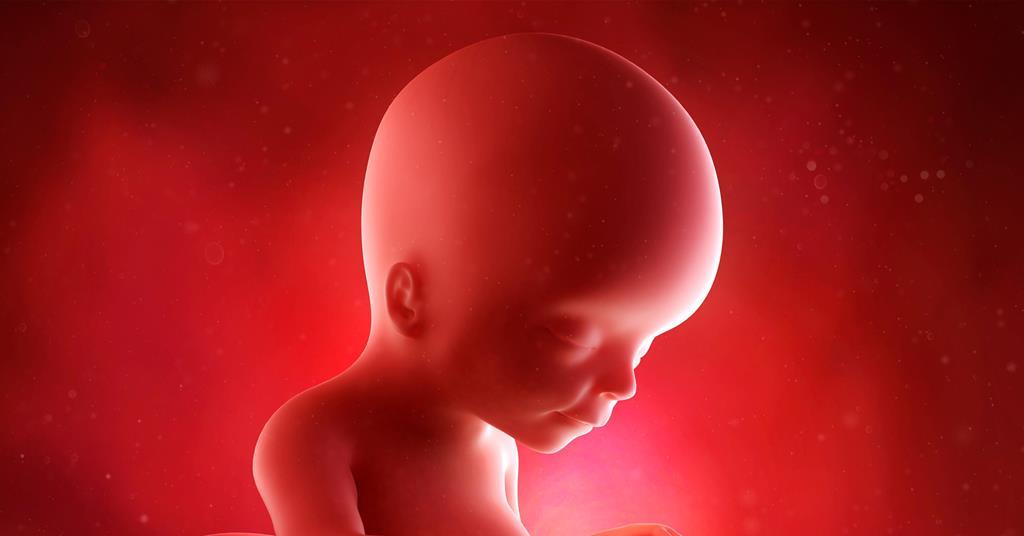 The evidence is clear - unborn children feel pain during late abortions ...