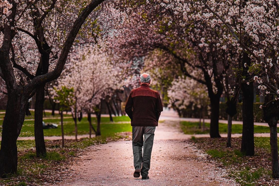 5 reasons I believe the UK Church is in a spiritual springtime