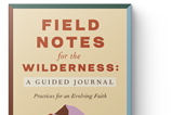 Book-cover-june1