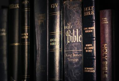 pexels-joshimer-binas-1769396-5582397