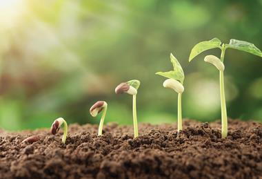 shutterstock_712080757