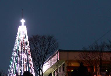 A giant steel Christmas tree near the border with North Korea, 2010