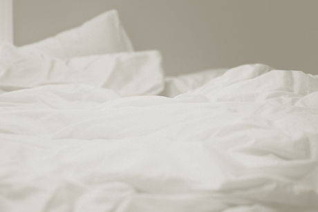 cassidy-dickens-cOAlCJeI7PY-unsplash-2