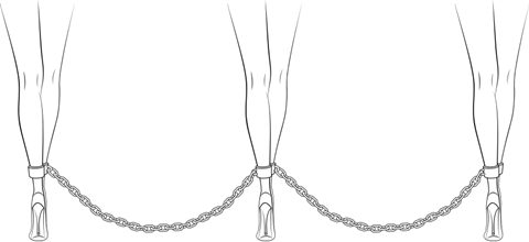 chain legs