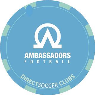 87a24-ambassadors_football_token
