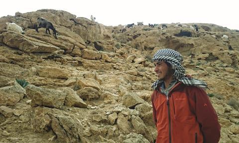 Bedouin Shepherd 2