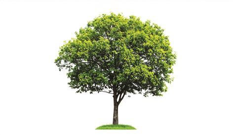 shutterstock_2623766123