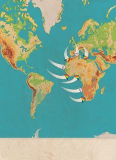 Africa-maps-01