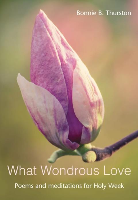 Screenshot 2026-03-21 at 20.46.05 (2)