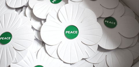 white_poppies_banner_3