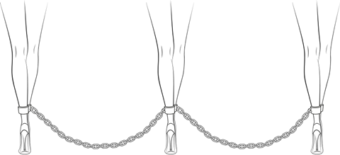 chain legs