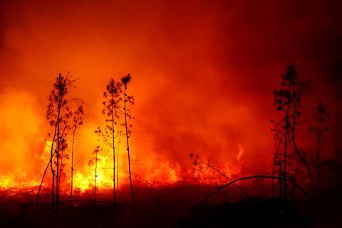 2022-07-17T221944Z_249673923_RC2XDV9J5CPQ_RTRMADP_3_EUROPE-WEATHER-FRANCE-WILDFIRES