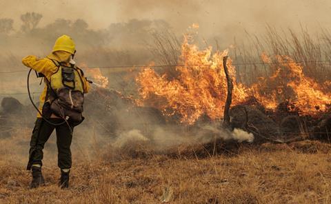 2022-02-23T055746Z_1588474601_RC2DKS986O3N_RTRMADP_3_CLIMATE-CHANGE-WILDFIRE