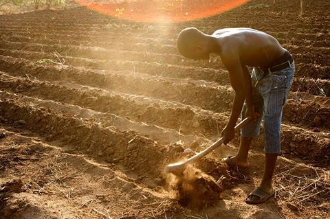 1200px-Africa_Food_Security_15_(10665294293)