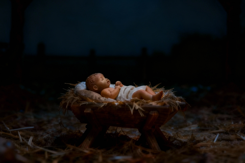 Nativity Scene Serenity (2)