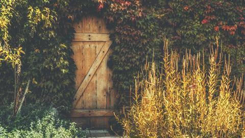 43747_lower38_999812