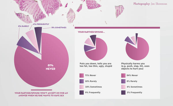 Statistics on Domestic Violence