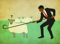 leadership trap herding sheep